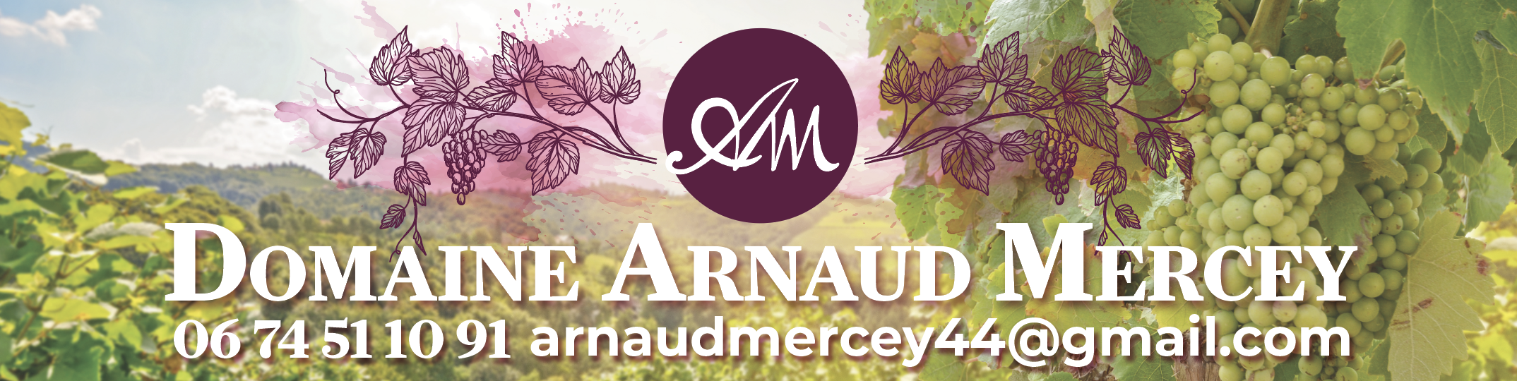 Domaine Arnaud Mercey